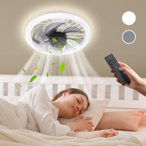 Summer 50% Price Remote Control Ceiling Fan with Light