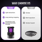 Powerful Bacteria Eliminator & Mosquito Killer Lamp