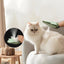 Cat Dog Grooming gloves with built-in spray