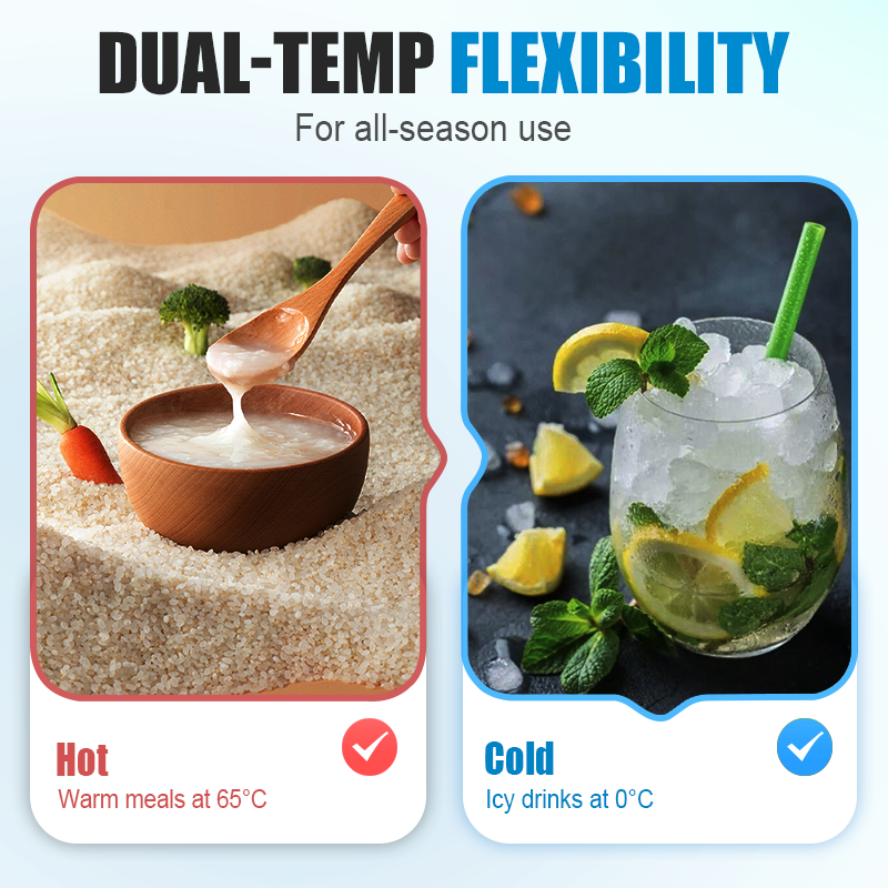 Portable Compact Refrigerator