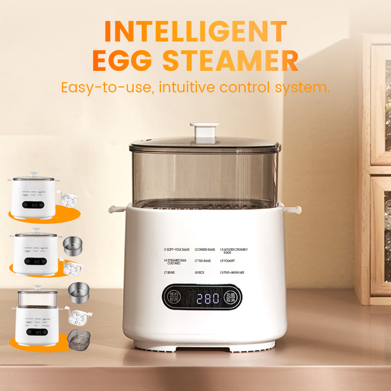 New Design Mini Multi-Function Egg Cooker with Smart Touch Panel