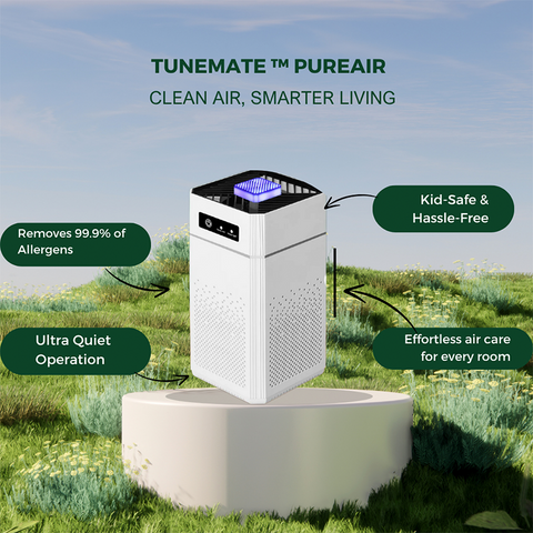 Air Purifier for Home