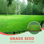 Grass Seeds for Lawn and Golf Course