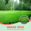 Grass Seeds for Lawn and Golf Course
