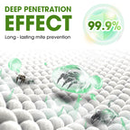 Say Goodbye to Dust Mites & Bacteria – Breathe Clean Again! Bacteriostasis Mite Control Agent