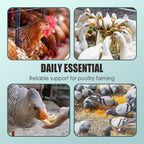 Feed additives for poultry farming