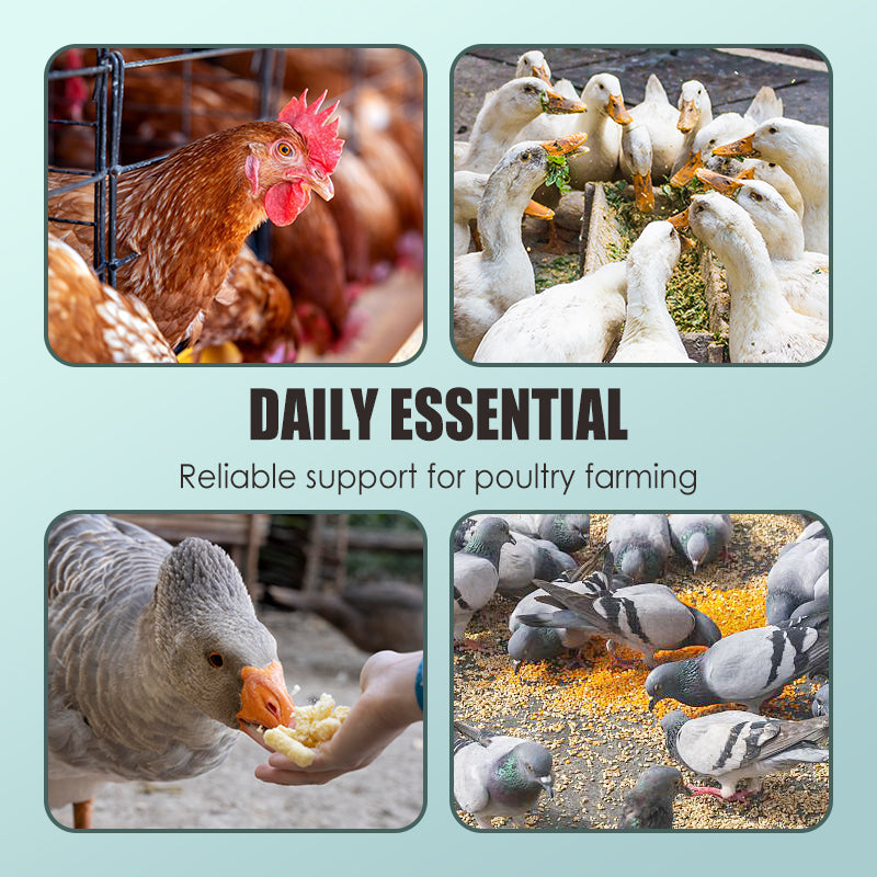 Feed additives for poultry farming