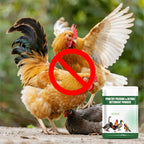 200g Poultry Anti-Pecking Powder – Stop Feather Pulling & Cannibalism in Birds