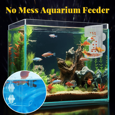 Aquarium Feeding Ring and Tray
