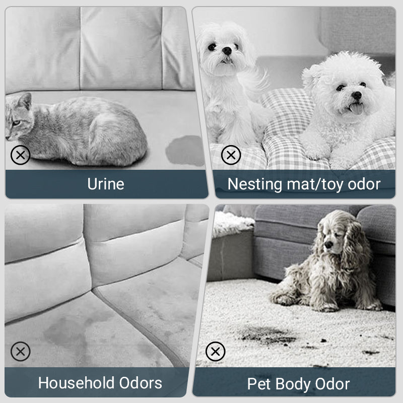 Pet Odor Eliminator Spray