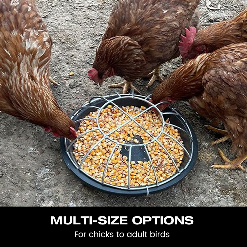 Limited stock available—grab yours now! Large-Capacity Round Poultry Feeder Bowl
