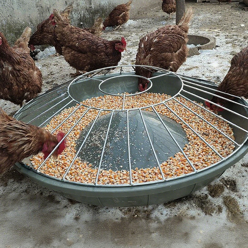 Limited stock available—grab yours now! Large-Capacity Round Poultry Feeder Bowl