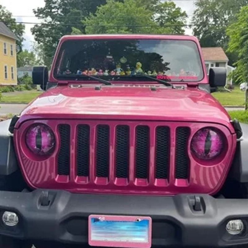 Beast Eyes Headlight Decals