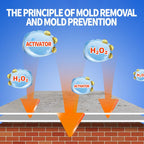 Lanwexy Highly Effective Mould Removal Spray - Prevents Mould Regrowth