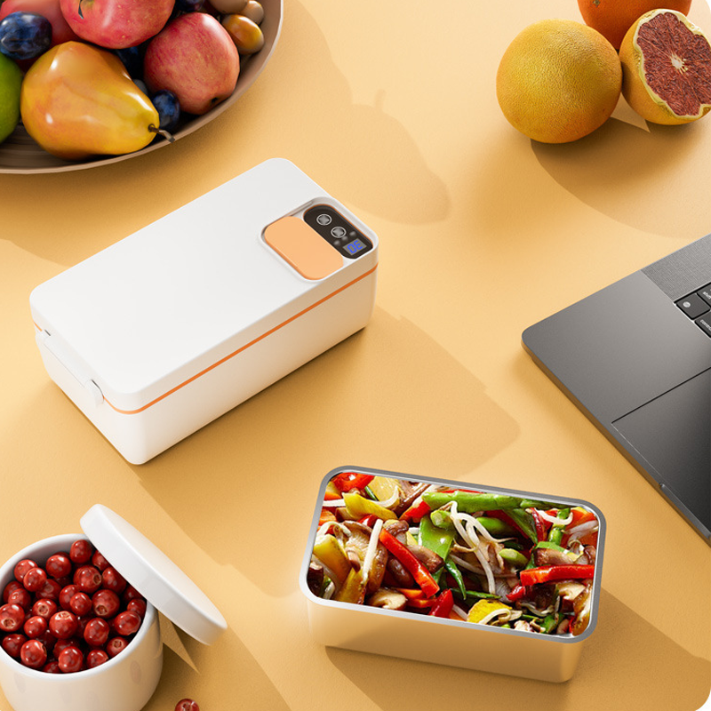 Large Capacity Electric Lunch Box