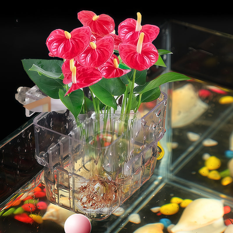 Hanging Fish Tank Planter Holder