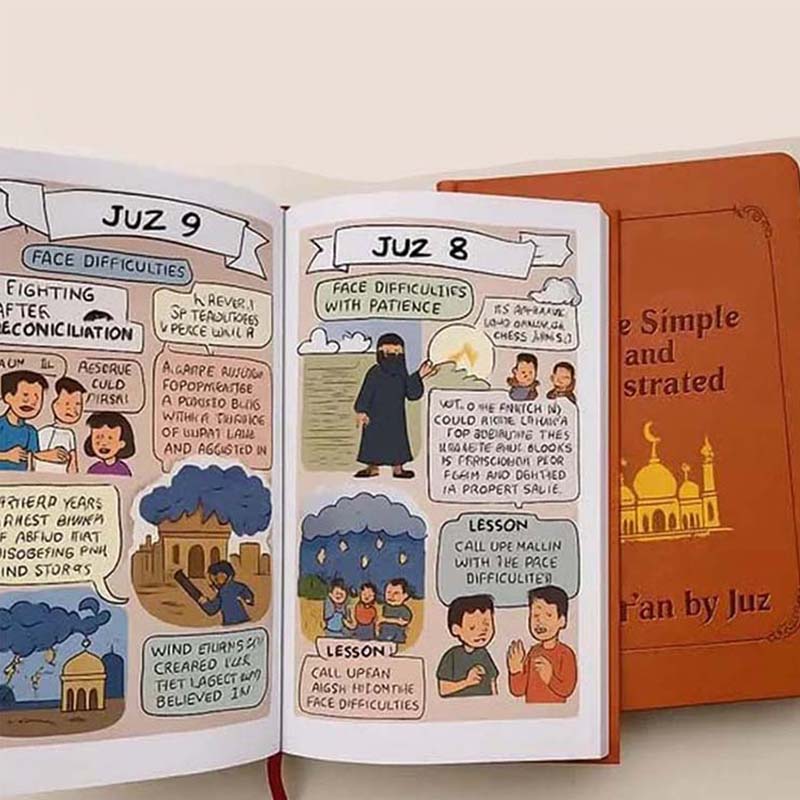 Concise Illustrated Study Plan
