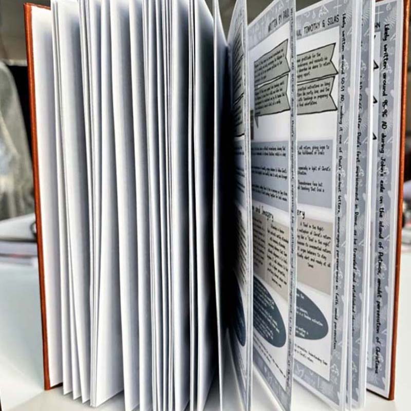 Concise Illustrated Study Plan