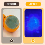 UV Inspection Light for Vegetable Safety