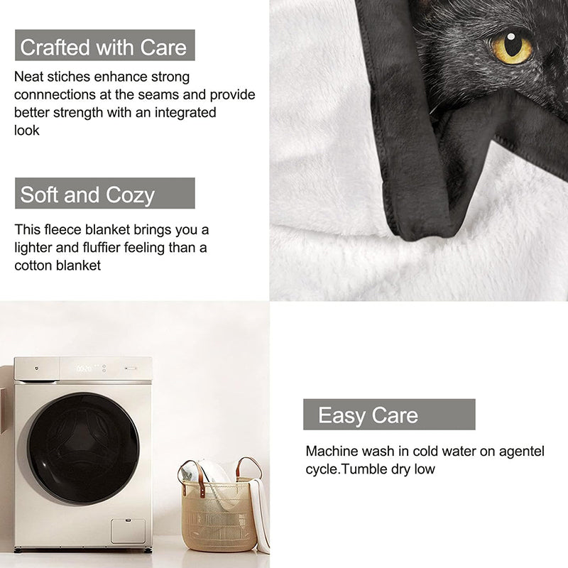 Black Cat All-Season Cozy Blanket