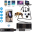 Flash Sale: - Waterproof Endoscope