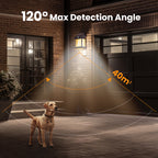 Motion Sensor Solar Tungsten Wall Light