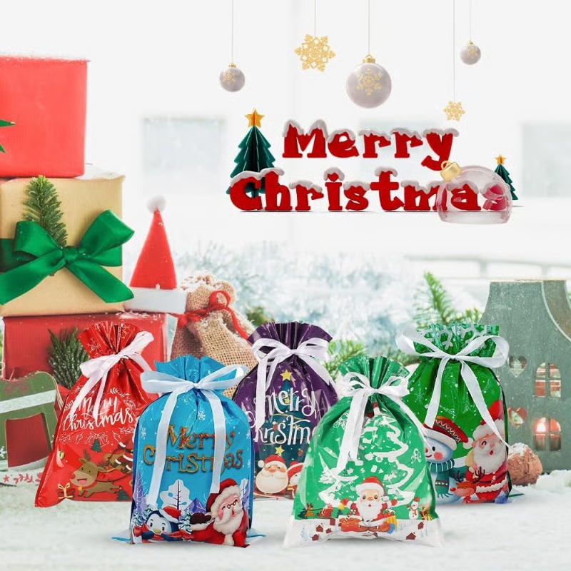 Meet Christmas Christmas Drawstring Gift Bags