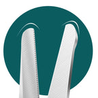 Precision Stainless Steel Nose Hair Scissors