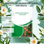 Controlled-Release Fruit Tree Fertilizer | Year-End Mega Upgrade Launch | 3-Month Slow-Release Nutrition, Balanced NPK Formula | Promotes Blossoming & Fruit Yield
