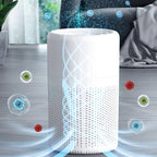 New Year's Special Offer: Anti-Formaldehyde Air Purifier for Home