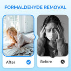New Year's Special Offer: Anti-Formaldehyde Air Purifier for Home