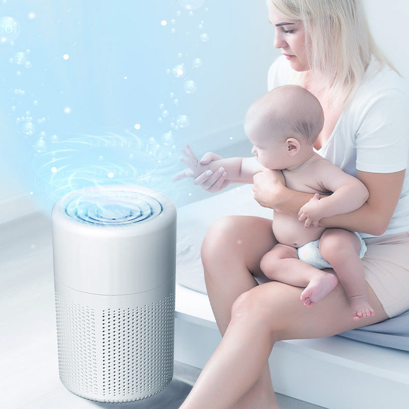 New Year's Special Offer: Anti-Formaldehyde Air Purifier for Home
