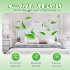 New Hot Selling Long-Lasting Formaldehyde Odor Remover