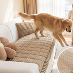 Pet-Friendly Sofa Cushions Are Here! Non-slip, scratch-resistant, and ultra-soft—lay them down and relax