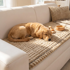 Pet-Friendly Sofa Cushions Are Here! Non-slip, scratch-resistant, and ultra-soft—lay them down and relax