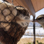 Handmade Bird Nesting Heart