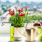 【All-Purpose Indoor & Outdoor Plant Nutrient】—One bottle in hand, the world is yours