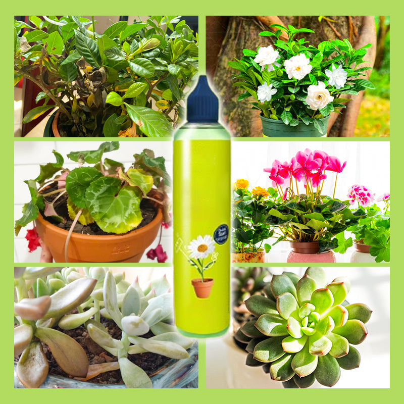 【All-Purpose Indoor & Outdoor Plant Nutrient】—One bottle in hand, the world is yours
