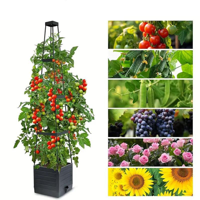 Self-Watering Garden Planter For Indoor&Outdoor Use