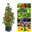 Self-Watering Garden Planter For Indoor&Outdoor Use
