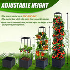 Self-Watering Tomato Planting Box Set Climbing Plants Holder