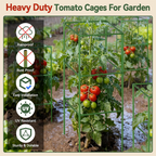 Adjustable Modular Plant Support Frame—Provides Sturdy Support for Thriving Climbing Plants