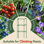 Adjustable Modular Plant Support Frame—Provides Sturdy Support for Thriving Climbing Plants
