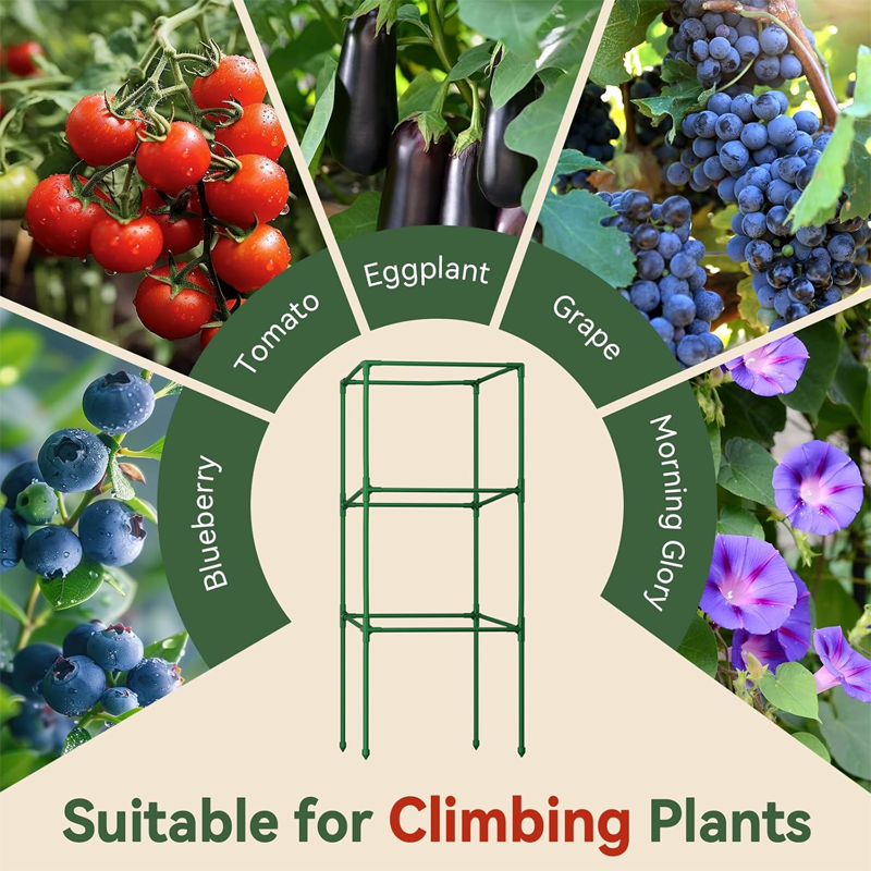 Adjustable Modular Plant Support Frame—Provides Sturdy Support for Thriving Climbing Plants