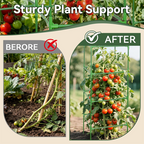 Adjustable Modular Plant Support Frame—Provides Sturdy Support for Thriving Climbing Plants