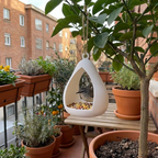 Modern Teardrop Hanging Bird Feeder